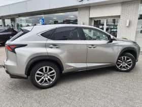 Lexus NX (2015) thumbnail 5