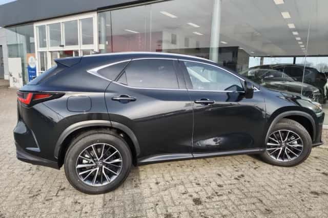 Lexus NX (2025) thumbnail 5