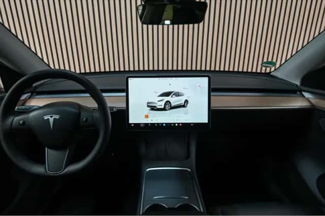 Tesla  (2022) thumbnail 3