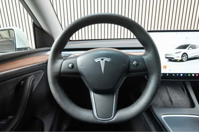 Tesla  (2022) thumbnail 4
