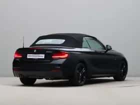 BMW 2-Serie (2020) thumbnail 13