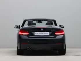 BMW 2-Serie (2020) thumbnail 16