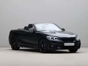 BMW 2-Serie (2020) thumbnail 10
