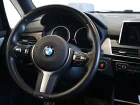 BMW 2-Serie (2020) thumbnail 11