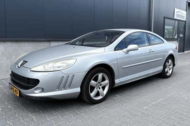Peugeot 407 (2006) thumbnail 1