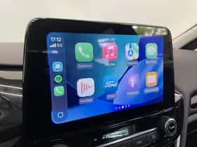 Ford Fiesta (2022) thumbnail 19