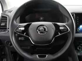 Škoda Karoq (2024) thumbnail 18