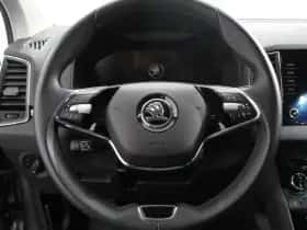 Škoda Karoq (2024) thumbnail 16