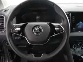 Škoda Karoq (2024) thumbnail 18