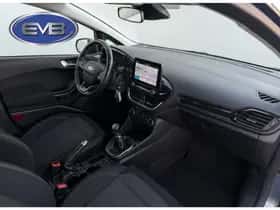 Ford Fiesta (2019) thumbnail 21