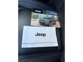 Jeep Renegade (2019) thumbnail 6