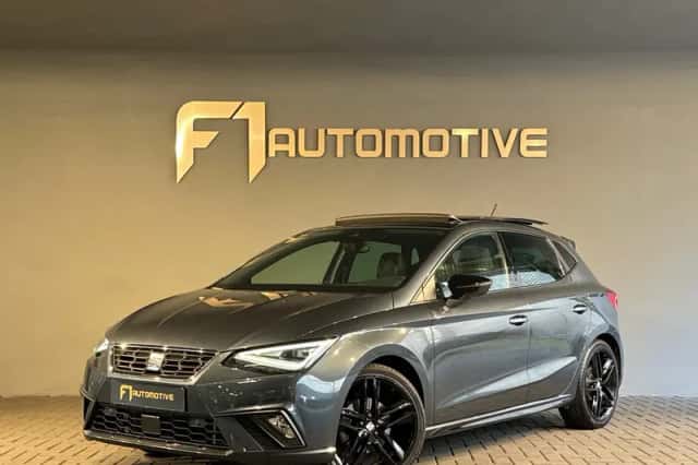 SEAT Ibiza (2024) thumbnail 1