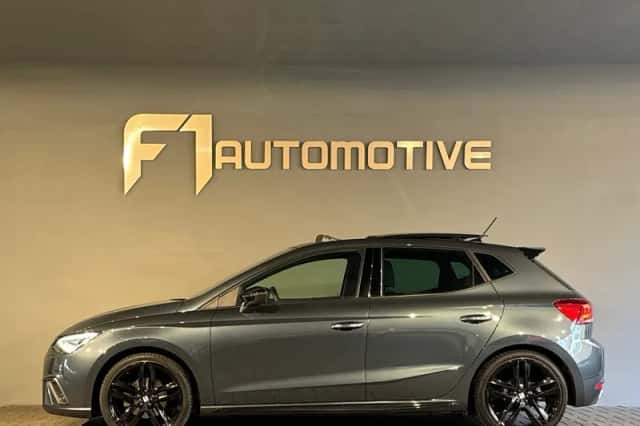 SEAT Ibiza (2024) thumbnail 12