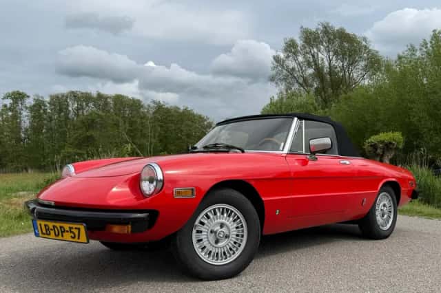 Alfa Romeo Spider (1981)