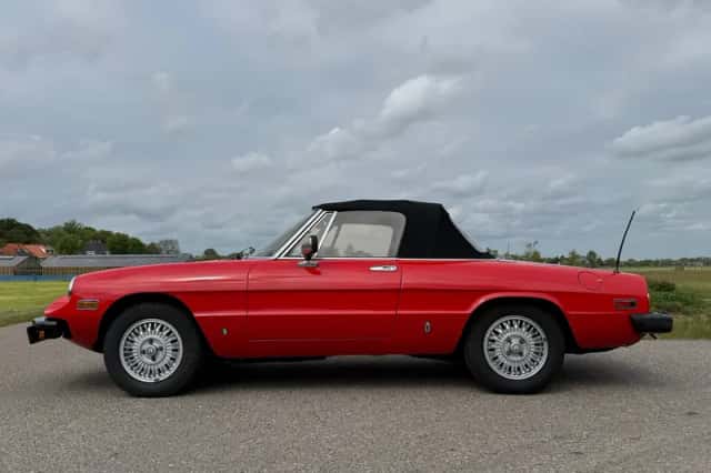 Alfa Romeo Spider (1981) thumbnail 2