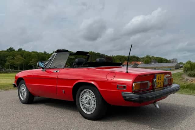 Alfa Romeo Spider (1981) thumbnail 4