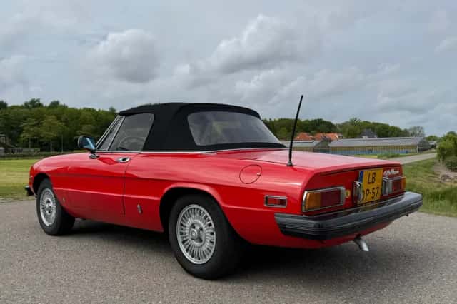 Alfa Romeo Spider (1981) thumbnail 5