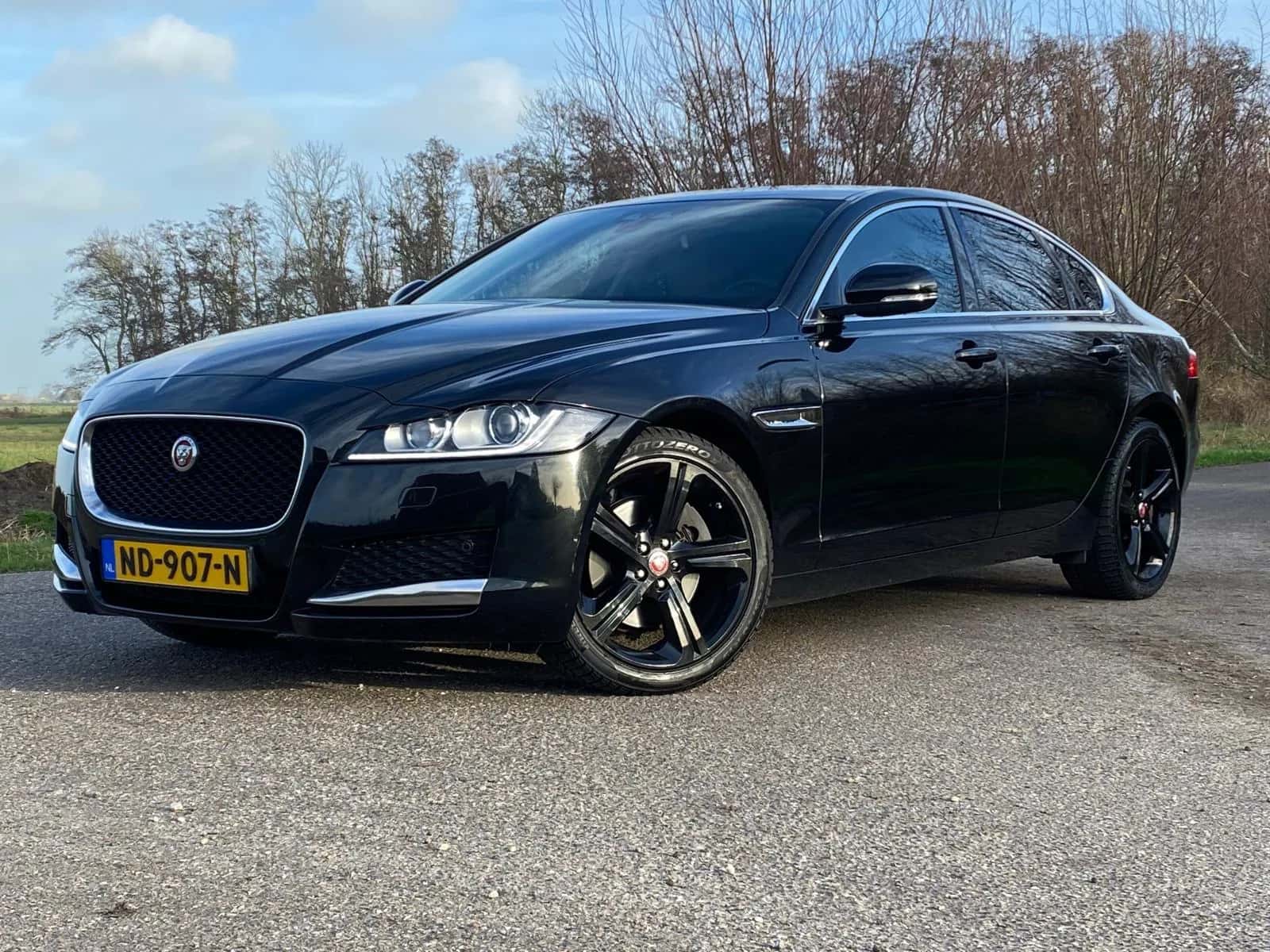 Jaguar XF (2017) — foto 1