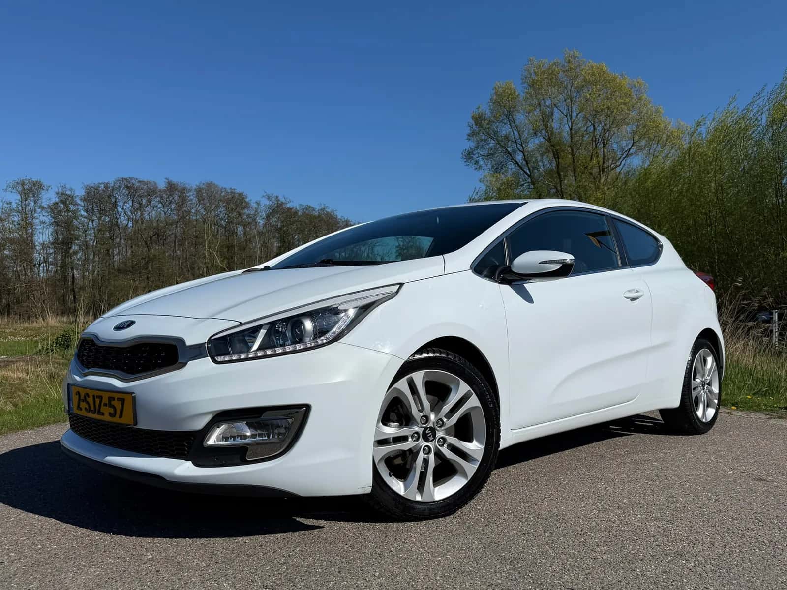 Kia Pro_cee'd (2013) — foto 1