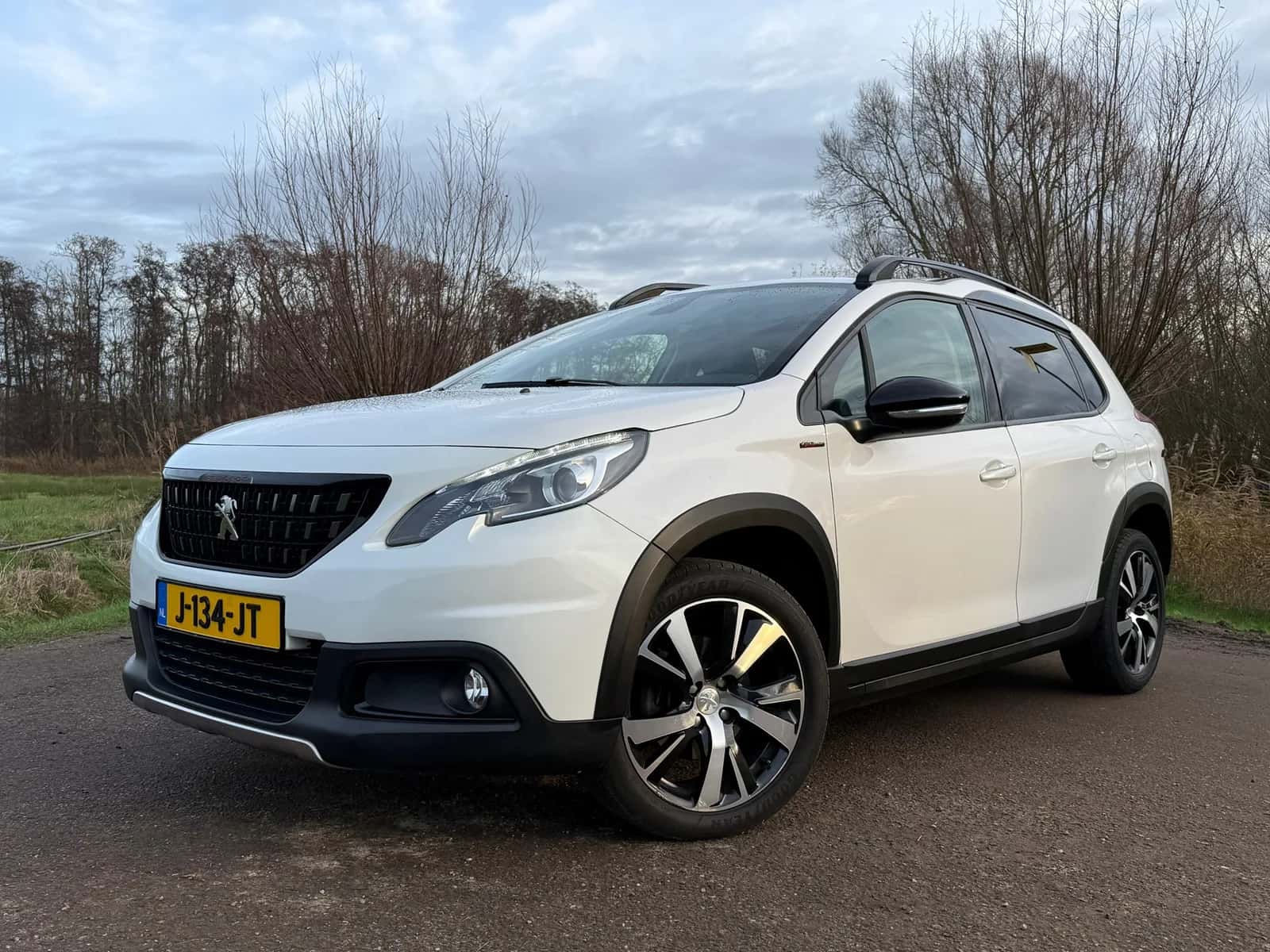 Peugeot 2008 (2019) — foto 1