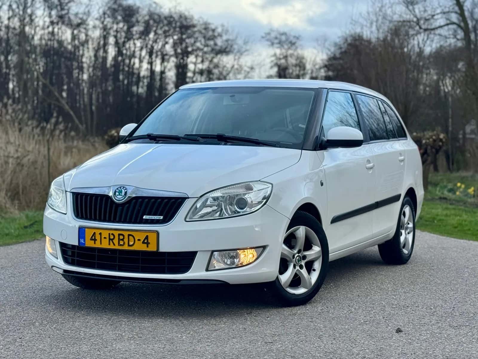 Škoda Fabia (2011) — foto 1