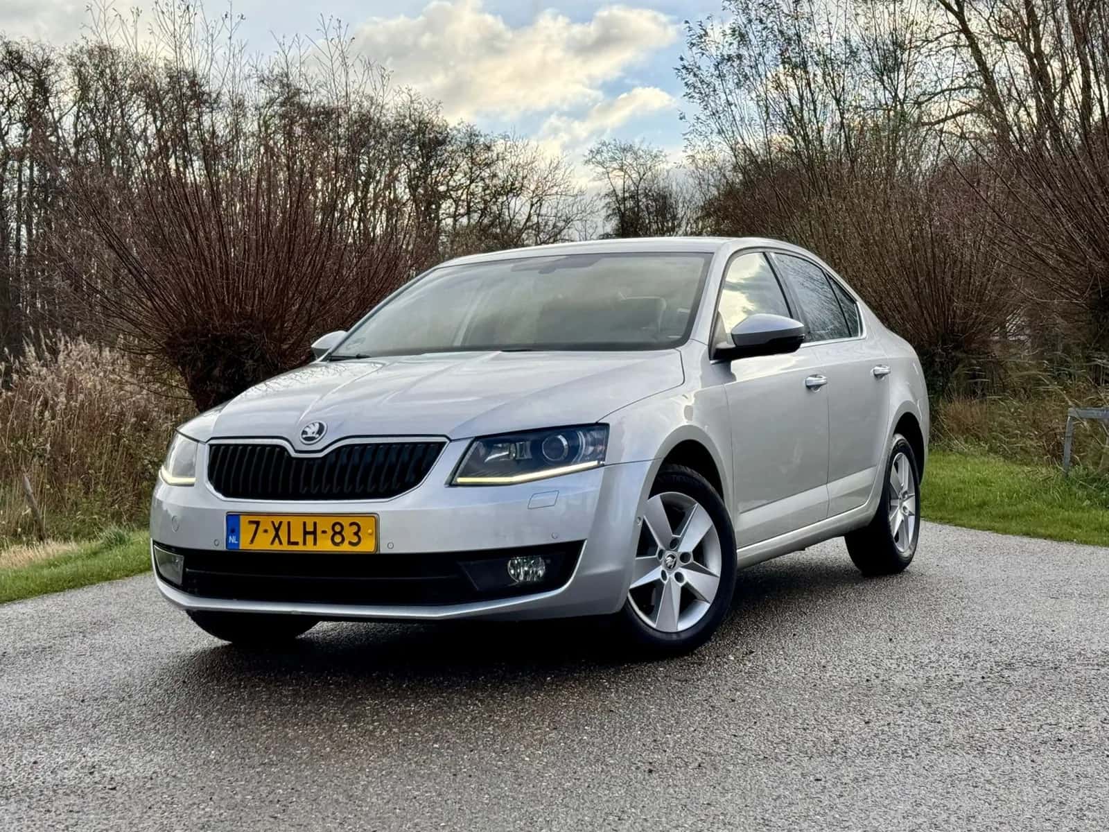 Škoda Octavia (2014) — foto 1