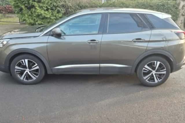 Peugeot 3008 (2019) thumbnail 1
