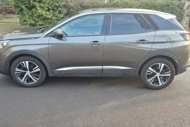 Peugeot 3008 (2019) thumbnail 2