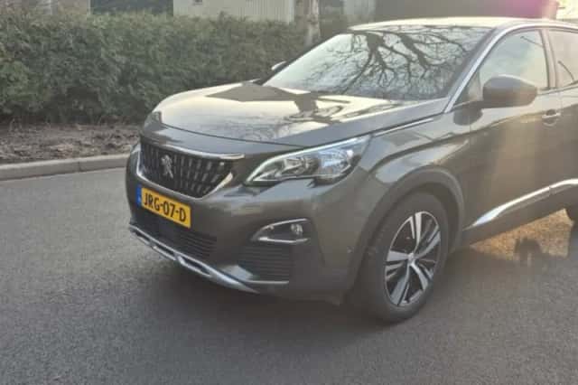 Peugeot 3008 (2019) thumbnail 3