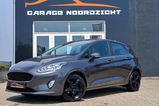 Ford Fiesta (2019) thumbnail 1