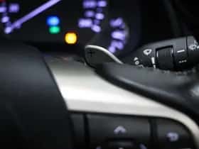 Lexus RX (2019) thumbnail 46