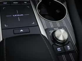 Lexus RX (2019) thumbnail 50