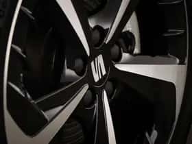 SEAT Ibiza (2025) thumbnail 23
