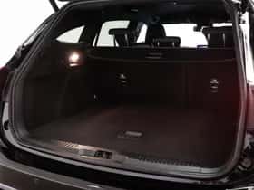 Ford Focus (2020) thumbnail 16
