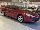 Peugeot 407 (2007) — foto 1