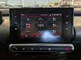Citroën C4 Cactus (2020) thumbnail 16