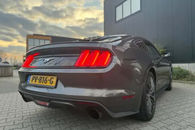 Ford Mustang (2017) thumbnail 6