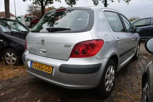 Peugeot 307 (2003) thumbnail 5
