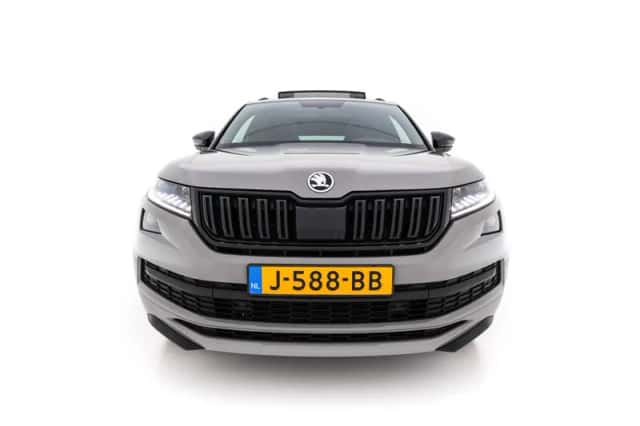 Škoda Kodiaq (2020) thumbnail 3