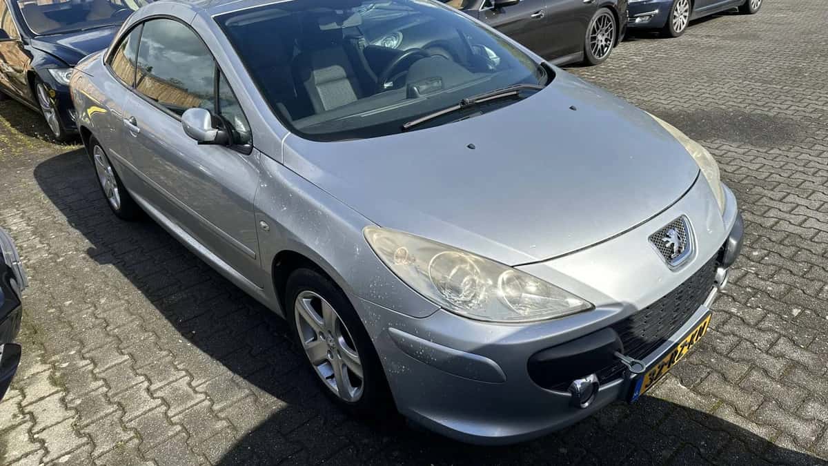 Peugeot 307 (2005) — foto 1