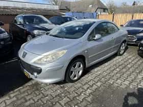 Peugeot 307 (2005) thumbnail 2