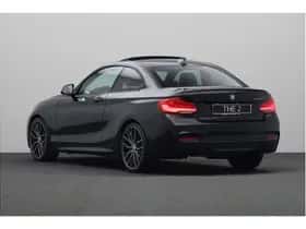 BMW 2-Serie (2017) thumbnail 14