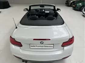 BMW 2-Serie (2020) thumbnail 11