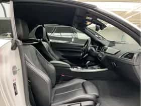 BMW 2-Serie (2020) thumbnail 20