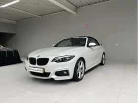 BMW 2-Serie (2020) thumbnail 3