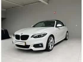 BMW 2-Serie (2020) thumbnail 30