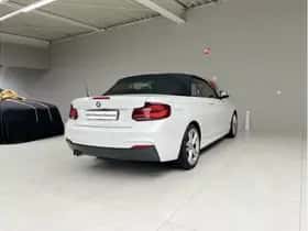 BMW 2-Serie (2020) thumbnail 8