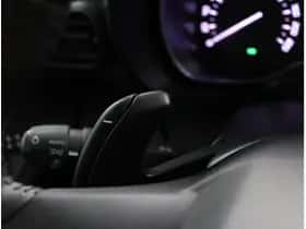 Citroën Berlingo (2023) thumbnail 40