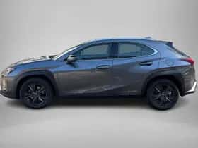 Lexus UX (2020) thumbnail 6