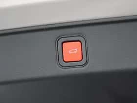 Fiat 600 (2026) thumbnail 20